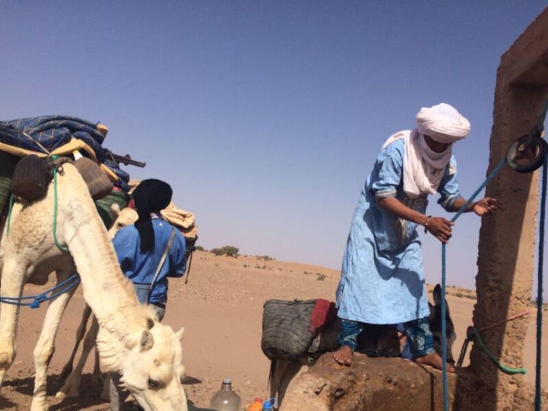 Experience the Route of Old Caravans Through the Vast Sahara - Activities and Experiences