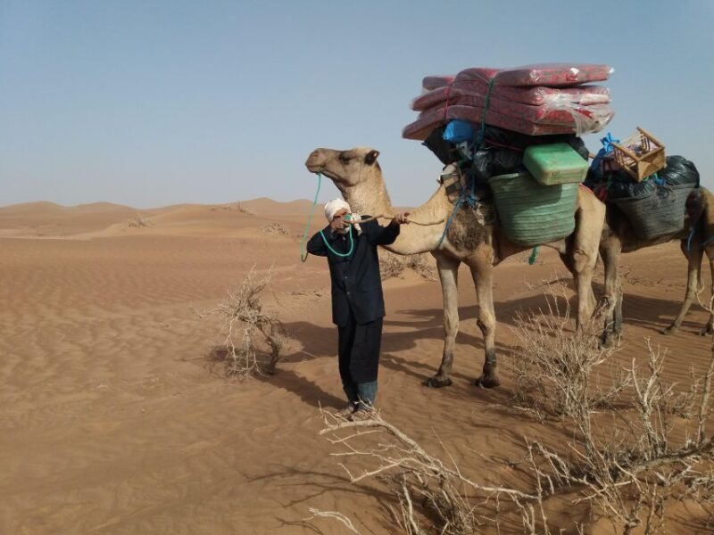 Experience the Route of Old Caravans Through the Vast Sahara - Immersive Nomadic Experience