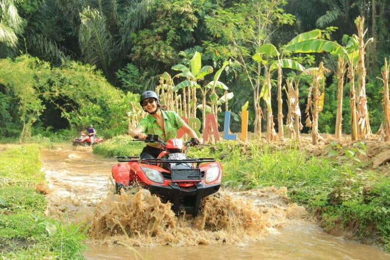 Experience the Ultimate Adventure with Bali Tarantula ATV - What Makes This ATV Tour Stand Out?