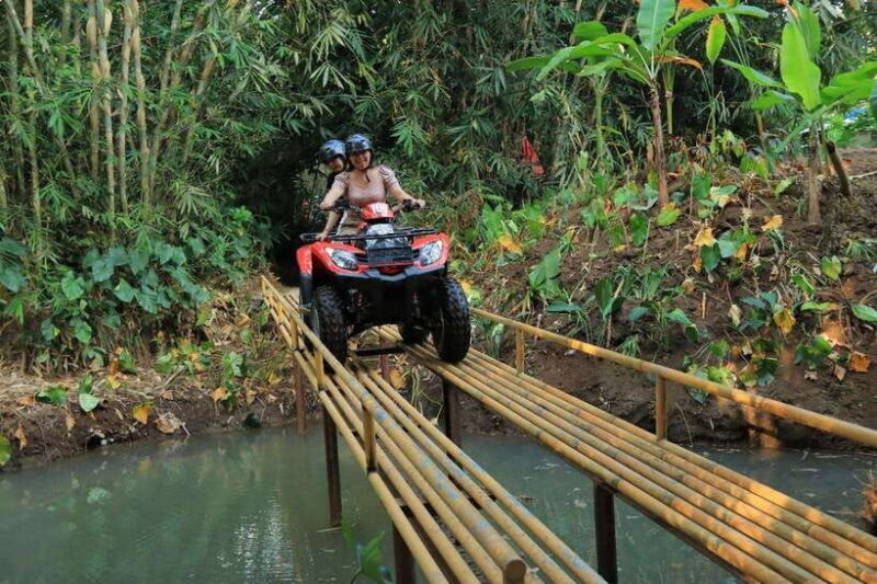 Experience the Ultimate Adventure with Bali Tarantula ATV - Who Will Enjoy This Tour?