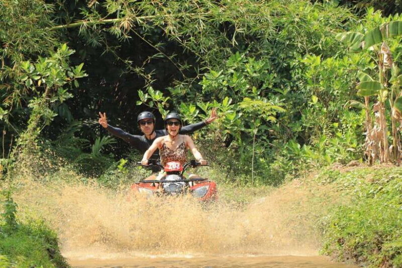 Experience the Ultimate Adventure with Bali Tarantula ATV - Comparing Value and Alternatives