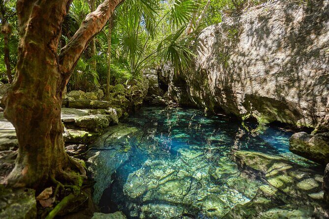 Experience this tour to Tulum, an artistic picture spot and cenotes adventure. - Key Points  