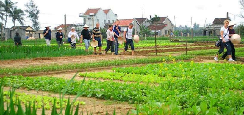 Experience Tra Que Cooking Class With Locals in Herb Village - Location and Meeting Point