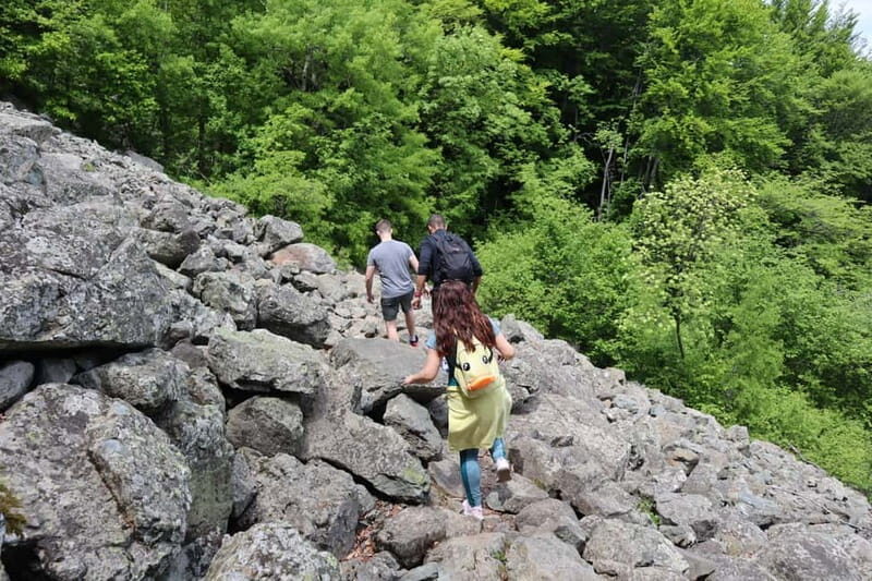 Experience Vitosha Mountain, a private hiking tour - The Sum Up