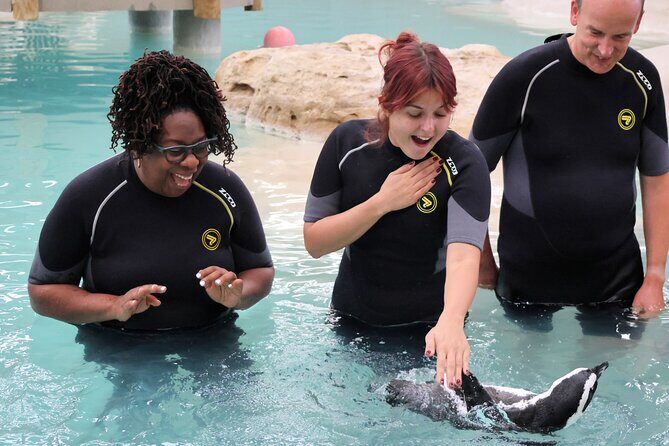 Experience Weekend at Tanganyika Wildlife Park - Key Points