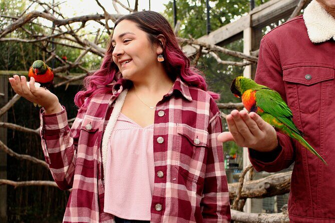 Experience Weekend at Tanganyika Wildlife Park - Is It Worth the Price?