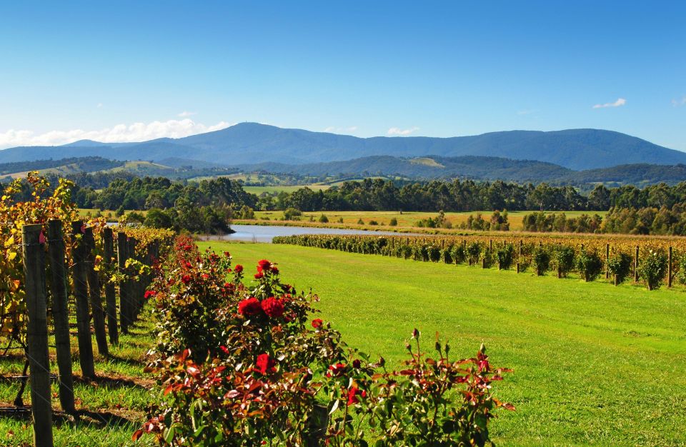 Experience Yarra Valley: a Tailored Private Wine Journey - Itinerary Overview