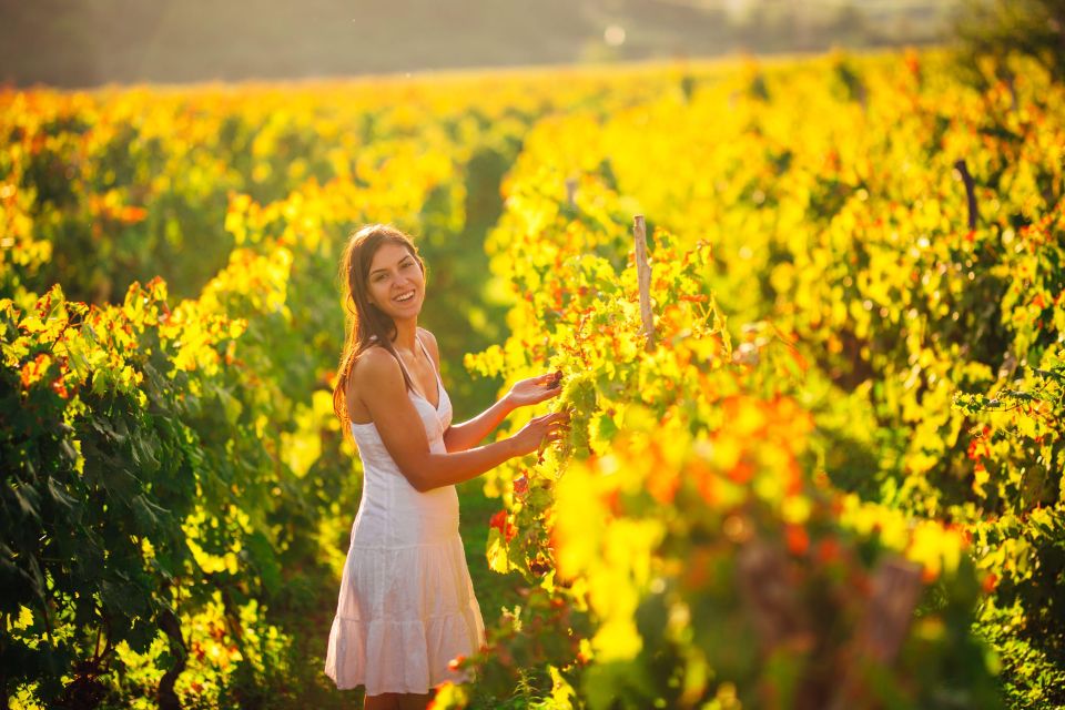 Experience Yarra Valley: a Tailored Private Wine Journey - Inclusions and Exclusions
