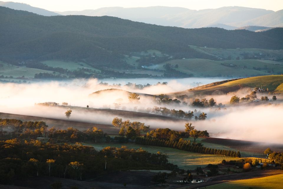 Experience Yarra Valley: a Tailored Private Wine Journey - Recap