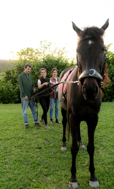 Experiential Activity With Horses: an Experience in Connection - Accessibility and Language Support