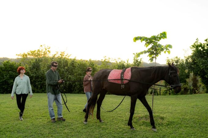 Experiential Activity With Horses: an Experience in Connection - Recommended Attire and Participant Guidelines