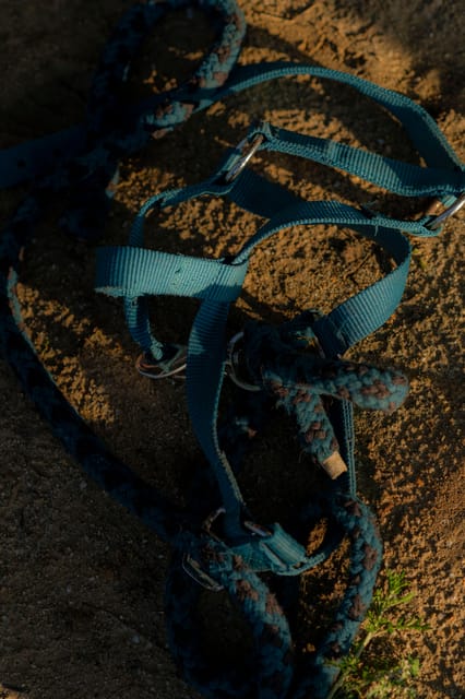 Experiential Activity With Horses: an Experience in Connection - Frequently Asked Questions