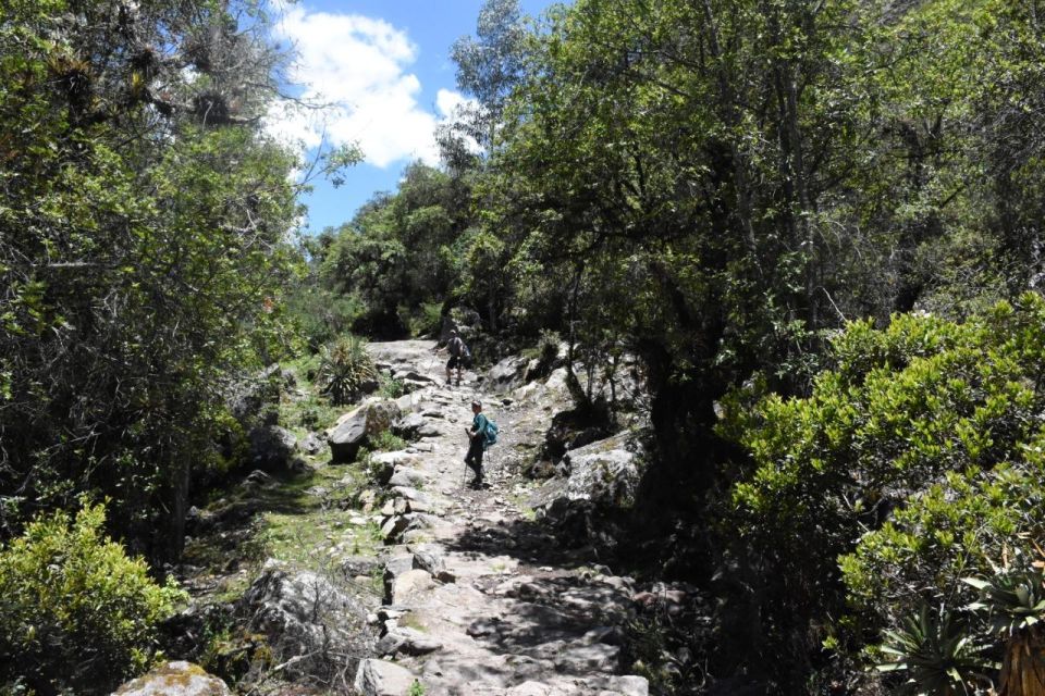 Experiential Tourism at the House of the Lares - Transportation Arrangements
