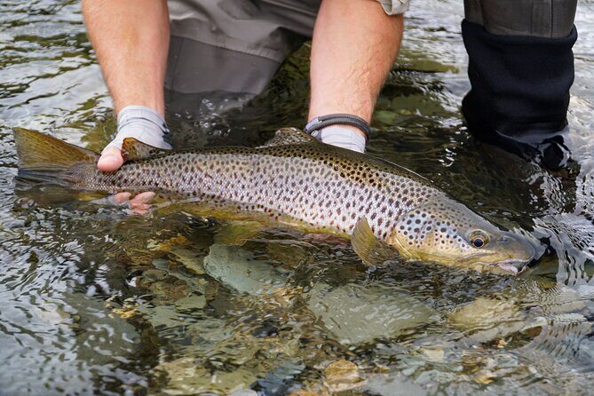 Expert Fly Fishing Adventures with Matt Butler from Te Anau - Final Thoughts