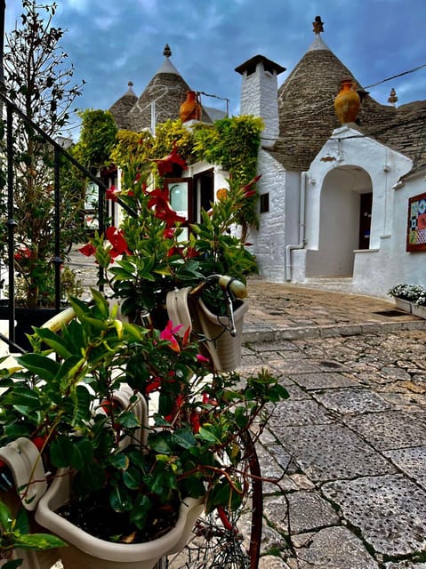 Expert Guided Tour & Tasting, Alberobello - Pricing and Inclusions