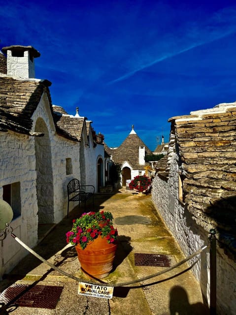 Expert Guided Tour & Tasting, Alberobello - Insights From the Expert Guide