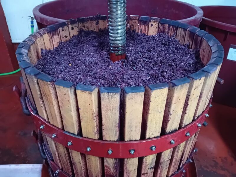 Explore 3 Ribera Del Duero Wineries With Madrid Pickup - Key Points
