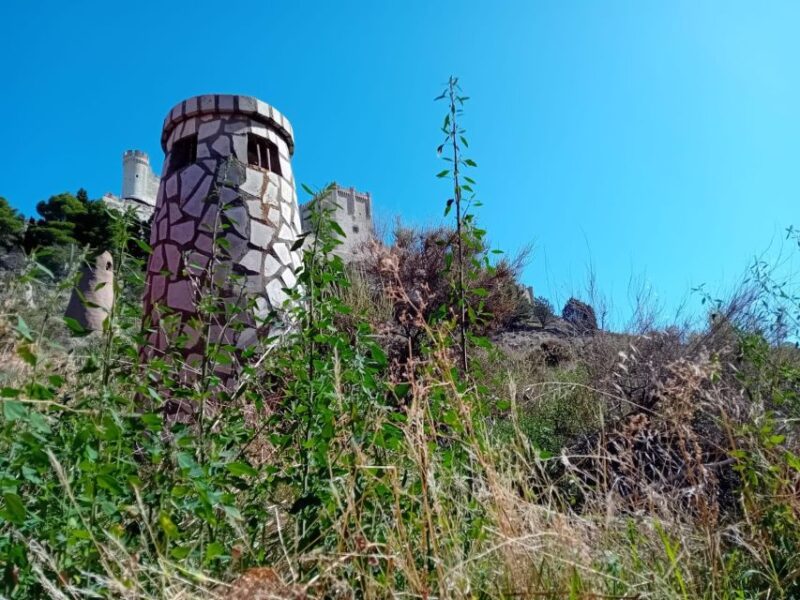 Explore 3 Ribera Del Duero Wineries With Madrid Pickup - Wineries and Wine Experience
