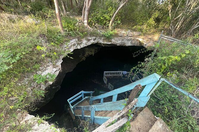 Explore 4 Amazing Cenotes with Lunch Tour from Merida - The Sum Up: Who Should Consider This Tour?