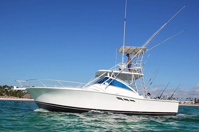Explore 4H of Private Deep Sea Fishing in Punta Cana - The Sum Up