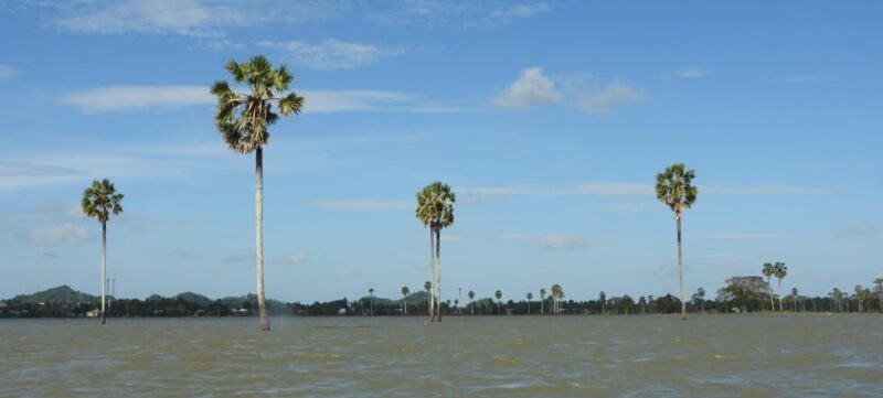 Explore and Discover the Stunning Scenery of Tempe Lake - Good To Know