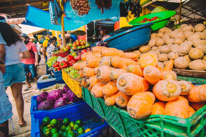 Explore and Learn the Culture of the Dominicans - Exploring the Basilica Cathedral