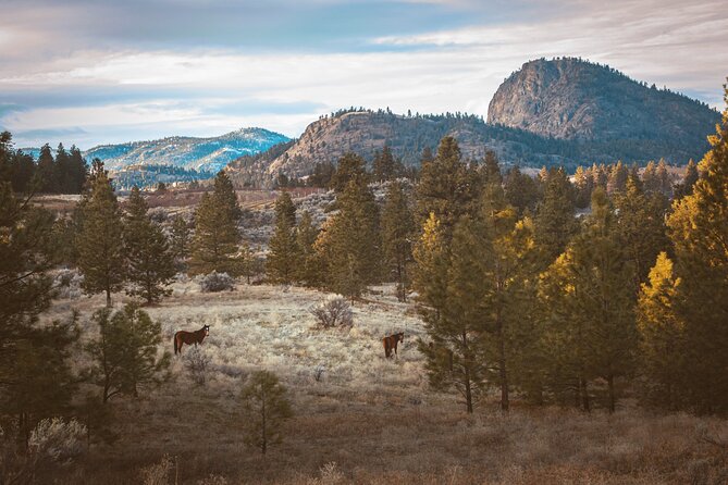 Explore and Learn the Natural Wonders of Summerland - Good To Know