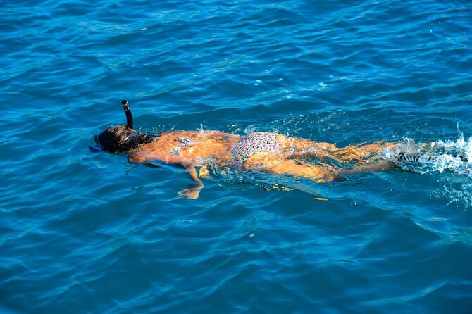 Explore Angthong National Marine Parks Hidden Gems by Speedboat - Speedboat Tour Highlights