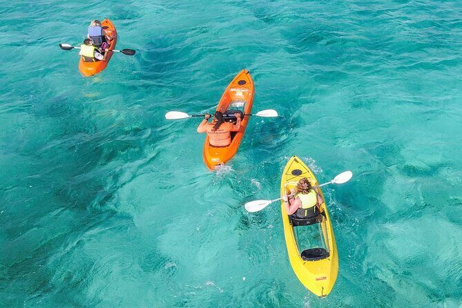 Explore Aruba Coastline with Kayaking Tour - Key Points