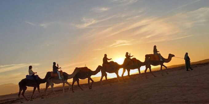 Explore Atlas Mountains and the Berber Culture & Camel Ride. - Camel Riding Experience