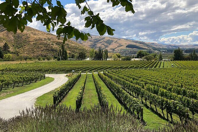 Explore Bannockburn Wineries & Private Wine Retreat by eBike - The Final Stop: Carrick Cellar Door & Garden