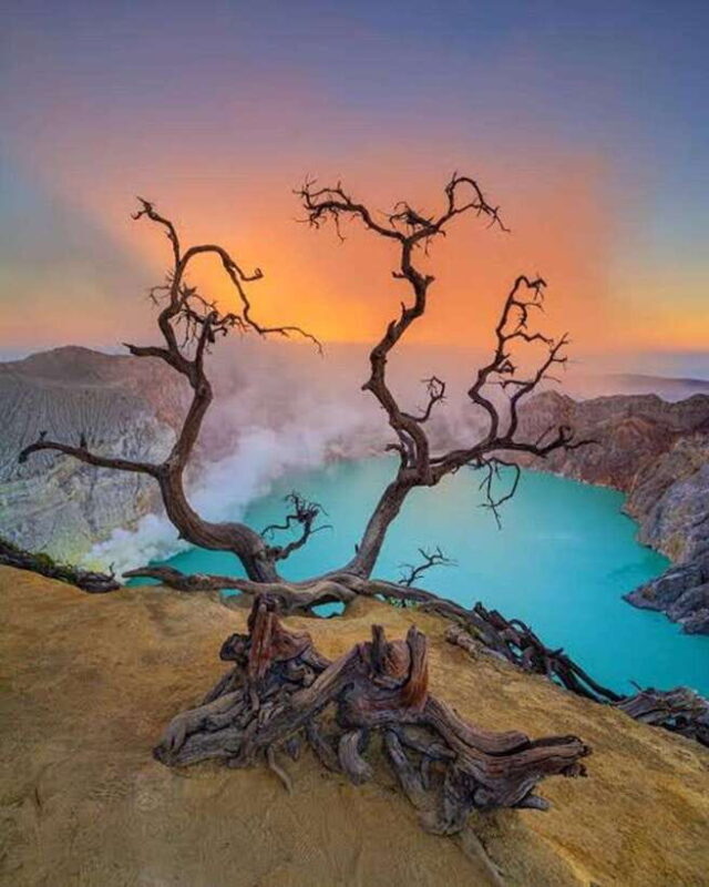 Explore Banyuwangi 3 day 2 night - Key Points