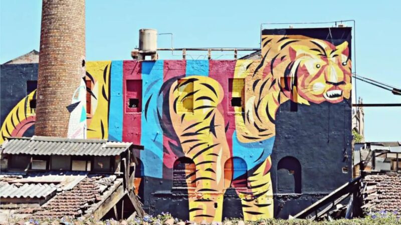 Explore Barcelona with a bicycle builder - Exploring Barcelona with a Bicycle Builder: A Unique Way to See the City