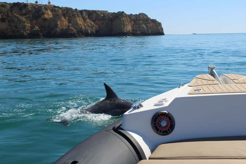 Explore Benagil, Ponta da Piedade and Dolphins in Algarve - Key Points
