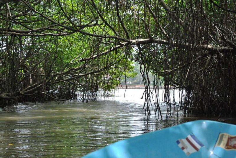 Explore Bentota River:Safari Tour with Hotel Pickup&Drop-off - Key Points