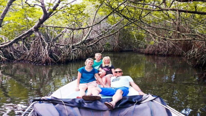 Explore Bentota River:Safari Tour with Hotel Pickup&Drop-off - An In-Depth Look at the Bentota River Safari Experience