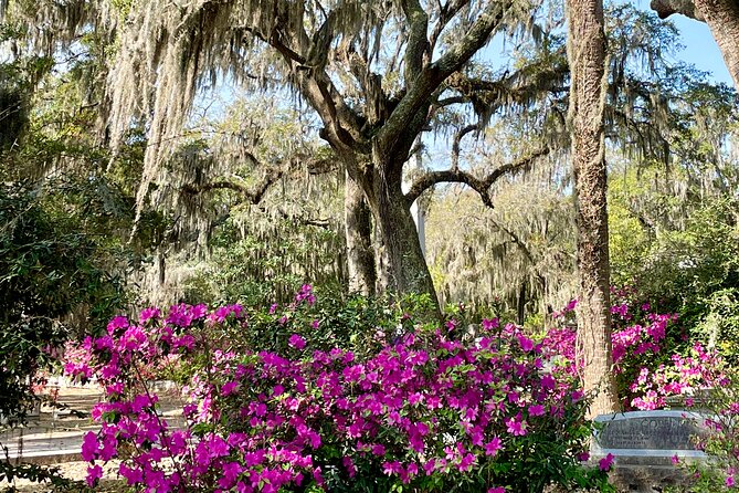 Explore Bonaventure Cemetery With Guided Walking Tour - Tour Details