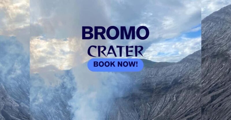 Explore Bromo Sunrise and Ijen Crater 3D/2N ( Private Tour) - Accommodation and Transportation