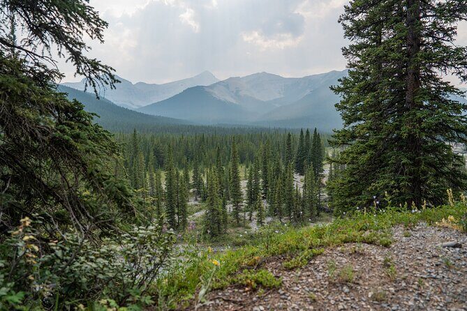 EXPLORE Canmore's HIDDEN Trails and Local Landmarks - 3H Hike - FAQ