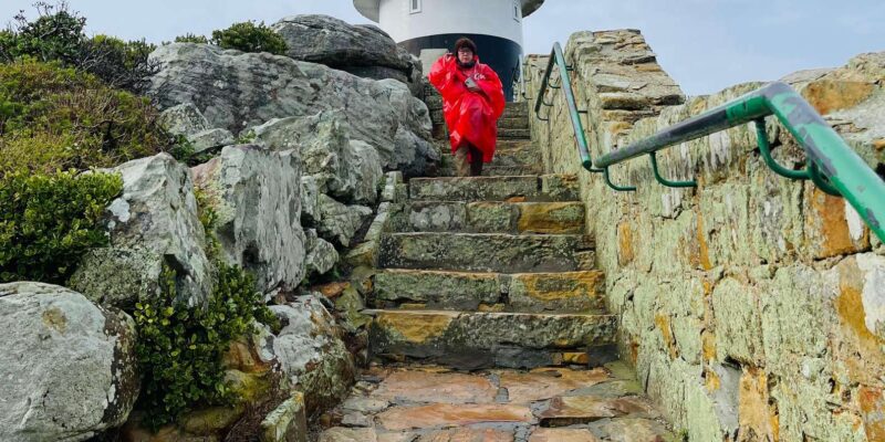 Explore Cape Town: 4-Day Itinerary - Table Mountain Experience