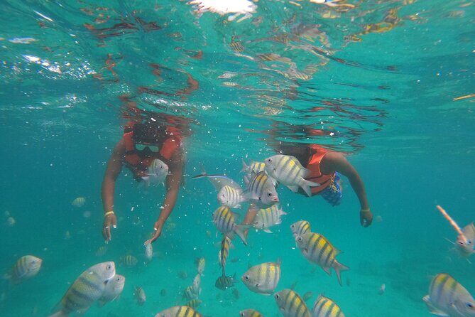 Explore Catalina Island & Snorkeling Adventure from Punta Cana - Who This Tour is Best For
