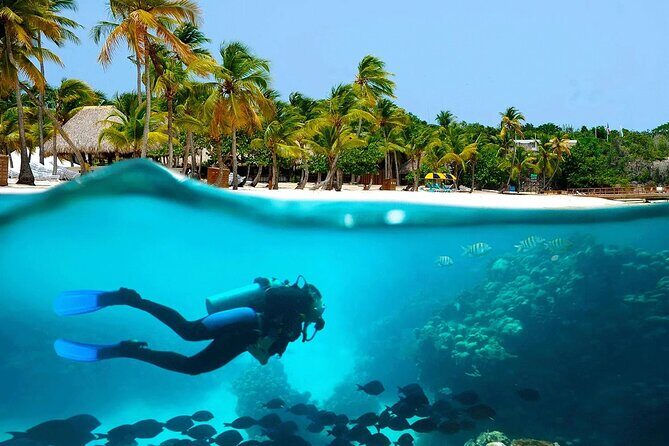 Explore Catalina Island & Snorkeling Adventure from Punta Cana - FAQ