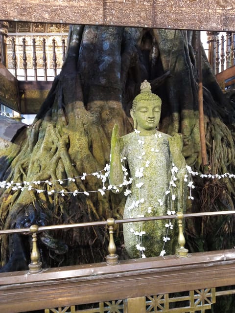 Explore Colombo CITY With Food and Drinks Formorning/Evening - Serene Temples and Sunset Views