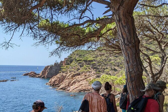 Explore Costa Brava & Tossa de Mar Coastal Trails, Snorkel & Meal - Who Will Love This Tour?