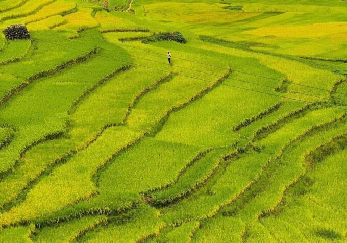 Explore Cultural Unique of Mu Cang Chai - Frequently Asked Questions