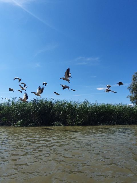 Explore Danube Delta and Black See in 2 Day Private Tour - Faleza Casino Experience