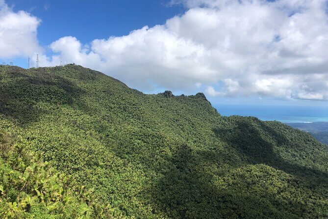 Explore El Yunque National Forest Guided Nature Adventure - Key Points