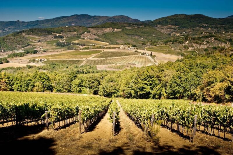 Explore Elegance: Savor 3 Exquisite Wines at Tenuta Bossi - Key Points