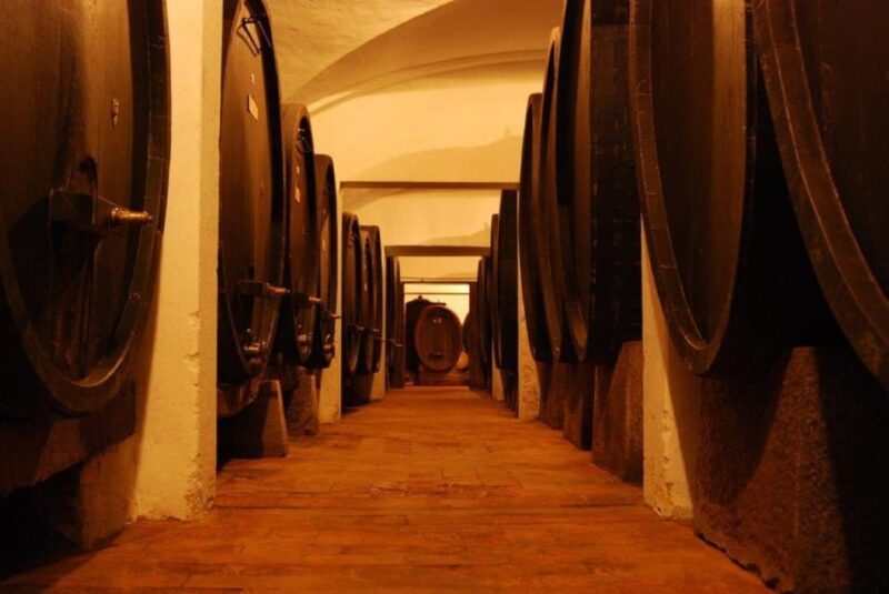 Explore Elegance: Savor 3 Exquisite Wines at Tenuta Bossi - The Atmospheric Tasting Experience