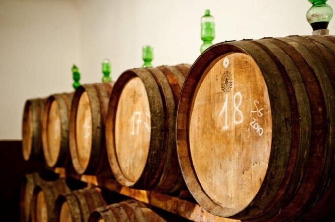 Explore Elegance: Savor 3 Exquisite Wines at Tenuta Bossi - The Authentic Soul of Tuscan Wine